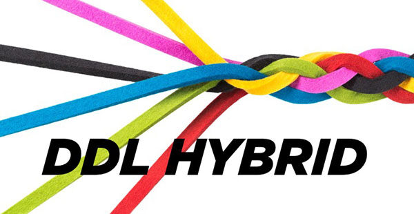 DDL HYBRID logos 12